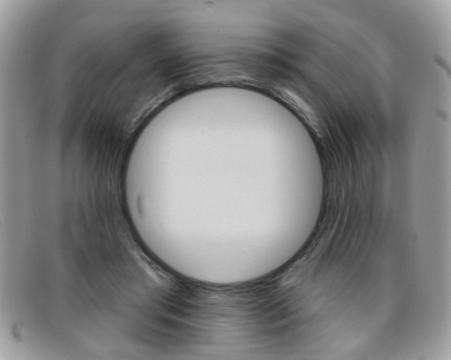 X0000095900405200801110809