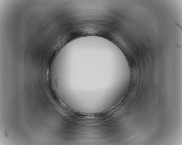 X0000095900406200801110809