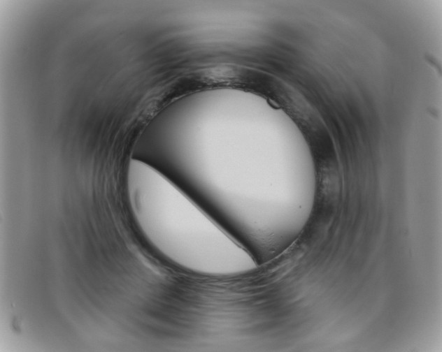 X0000095900408200801110809