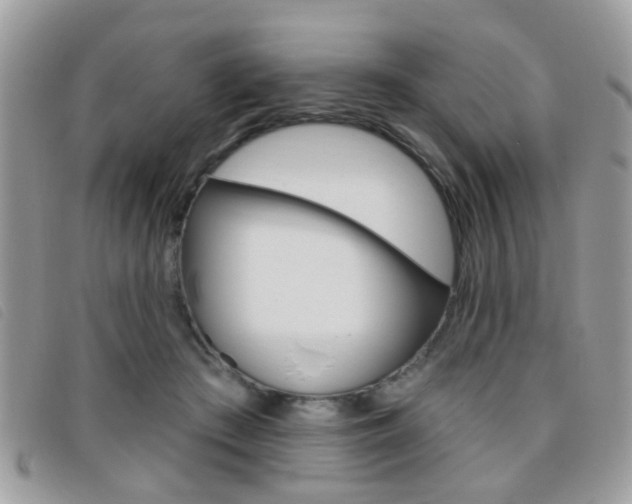 X0000095900409200801110809