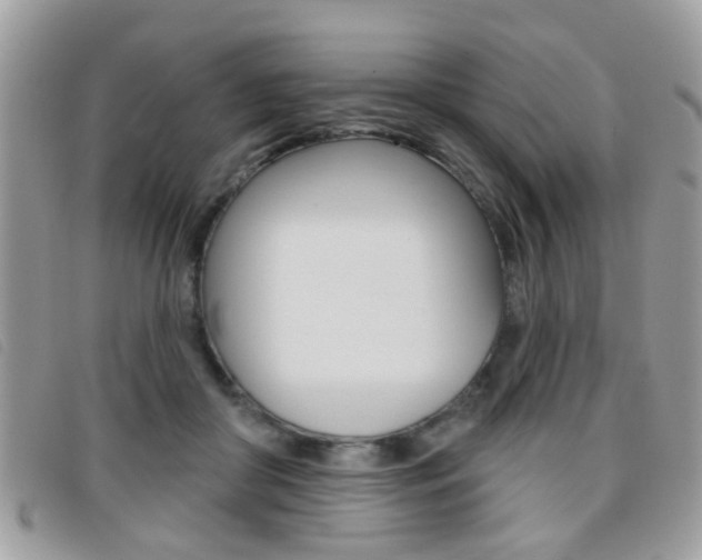 X0000095900410200801110809