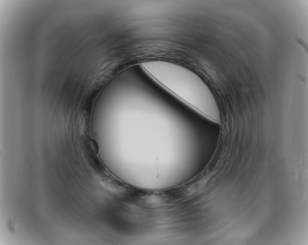 X0000095900412200801110809