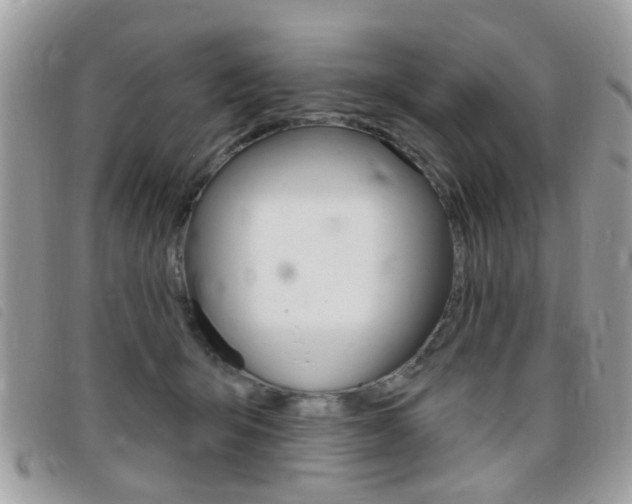 X0000095900415200801110809