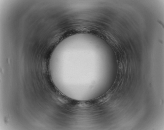 X0000095900416200801110809