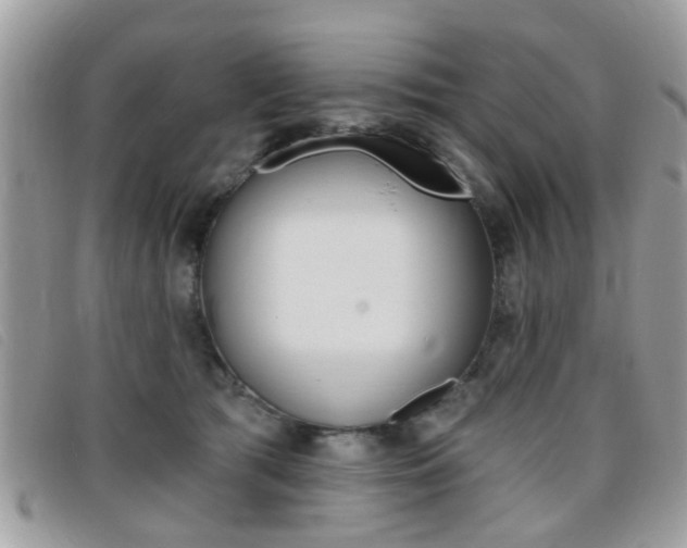 X0000095900417200801110809