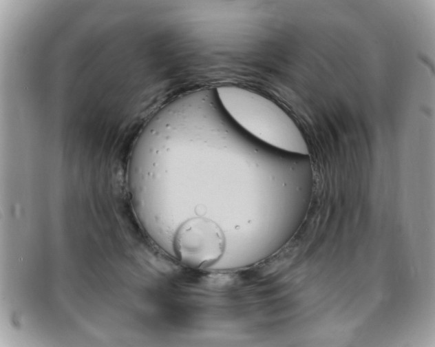 X0000095900418200801110809