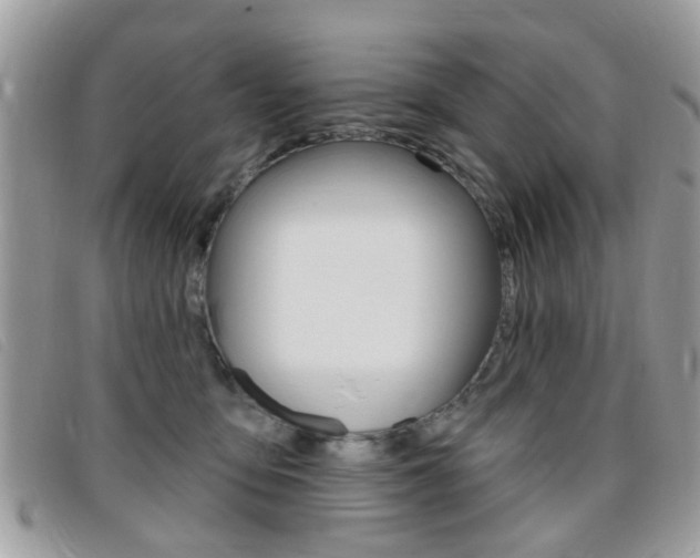 X0000095900419200801110809