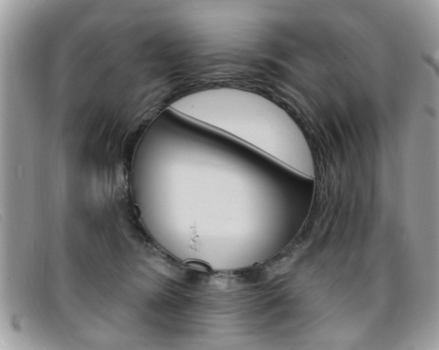 X0000095900420200801110809