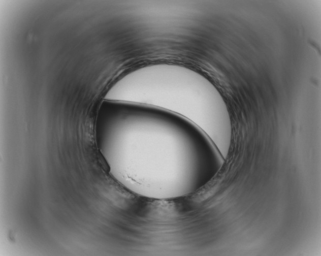 X0000095900421200801110809