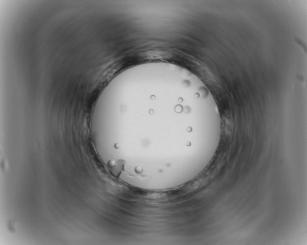 X0000095900422200801110809