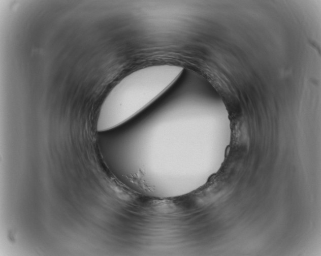 X0000095900424200801110809