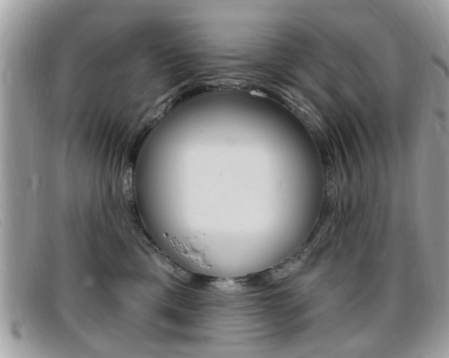 X0000095900425200801110809