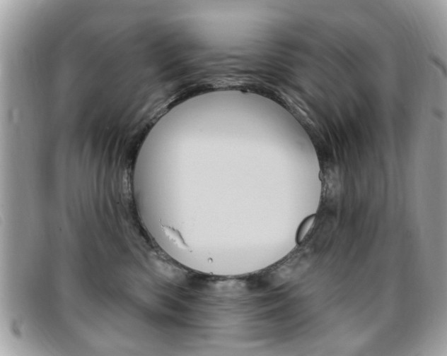 X0000095900426200801110809