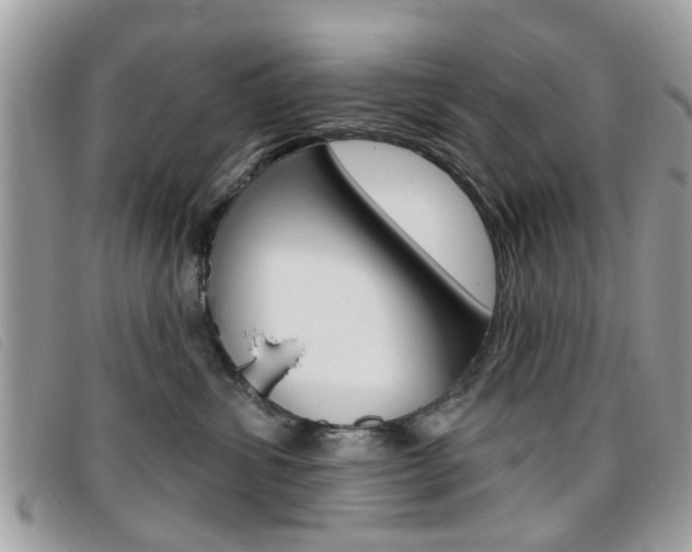 X0000095900428200801110809