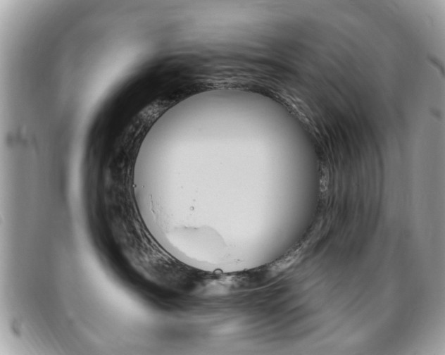 X0000095900430200801110809