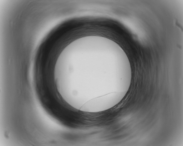 X0000095900431200801110809