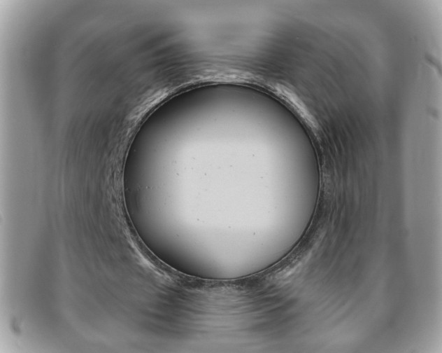 X0000095900433200801110808