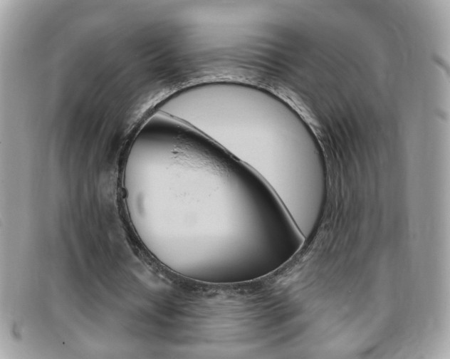 X0000095900434200801110808