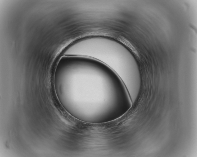 X0000095900436200801110808