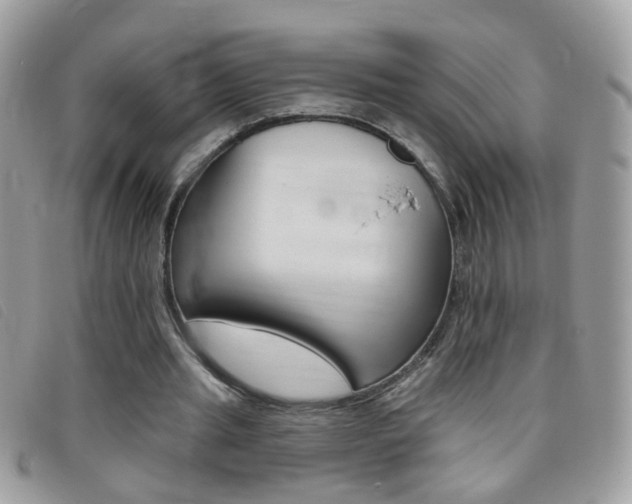X0000095900437200801110808