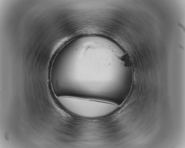 X0000095900438200801110808
