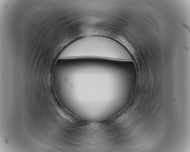X0000095900441200801110808