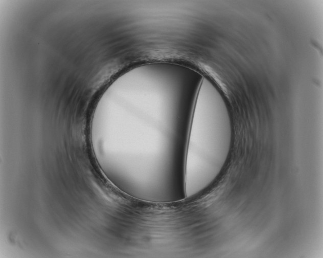 X0000095900443200801110808