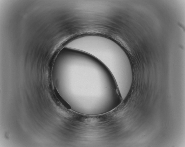 X0000095900444200801110808