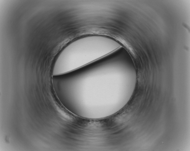 X0000095900445200801110808
