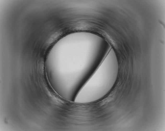 X0000095900446200801110808