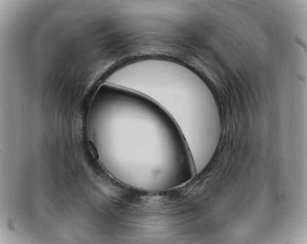 X0000095900448200801110808
