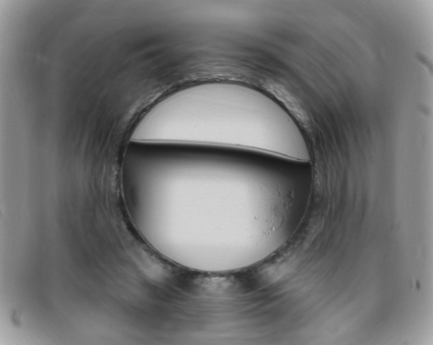 X0000095900449200801110808