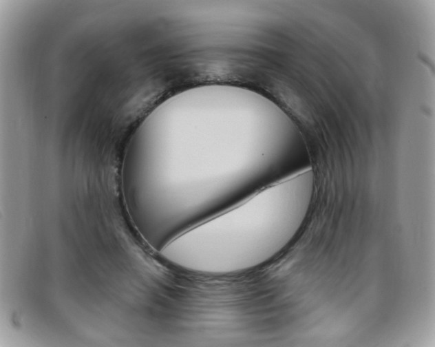 X0000095900450200801110808