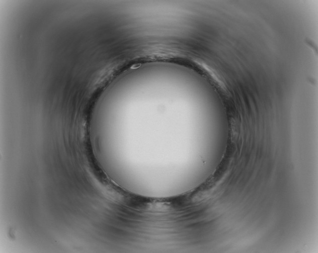 X0000095900451200801110808