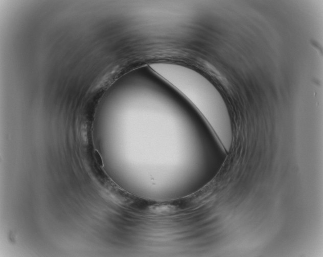 X0000095900452200801110808