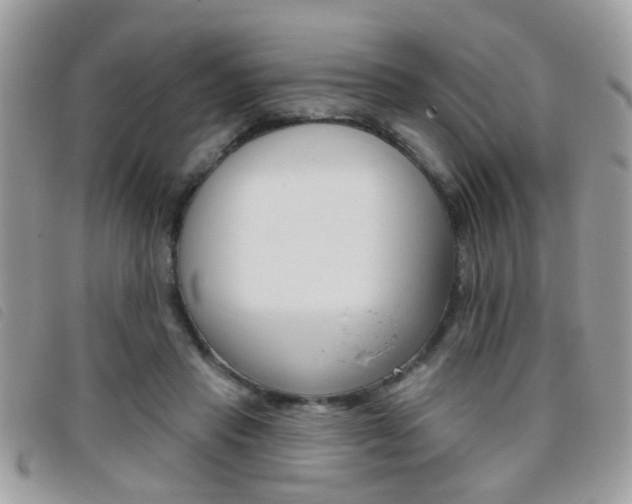 X0000095900453200801110808
