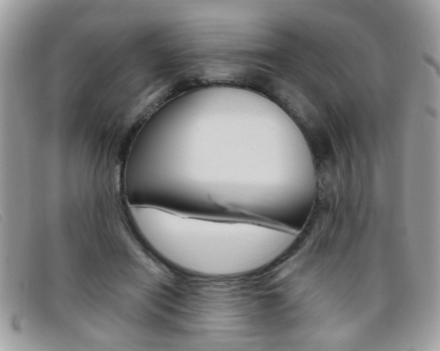 X0000095900454200801110808