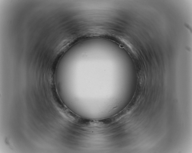 X0000095900455200801110808