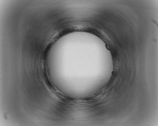 X0000095900456200801110808