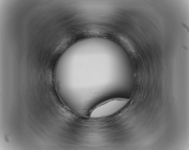 X0000095900457200801110809