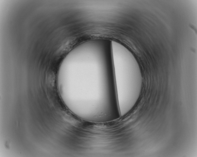 X0000095900458200801110809