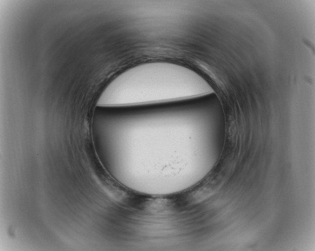 X0000095900459200801110809