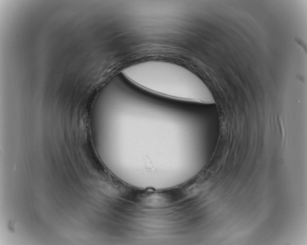 X0000095900460200801110809