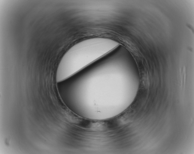 X0000095900461200801110809