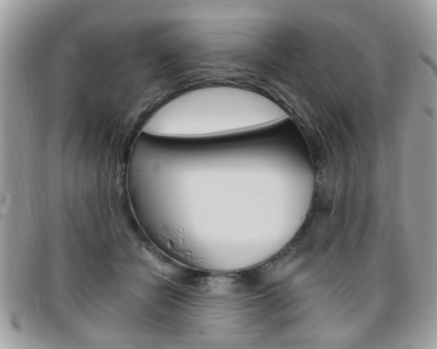 X0000095900462200801110809