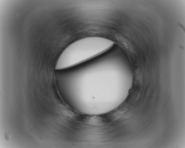 X0000095900463200801110809