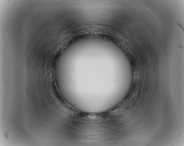 X0000095900464200801110809