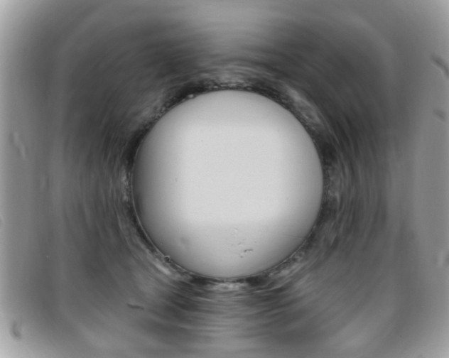 X0000095900465200801110809