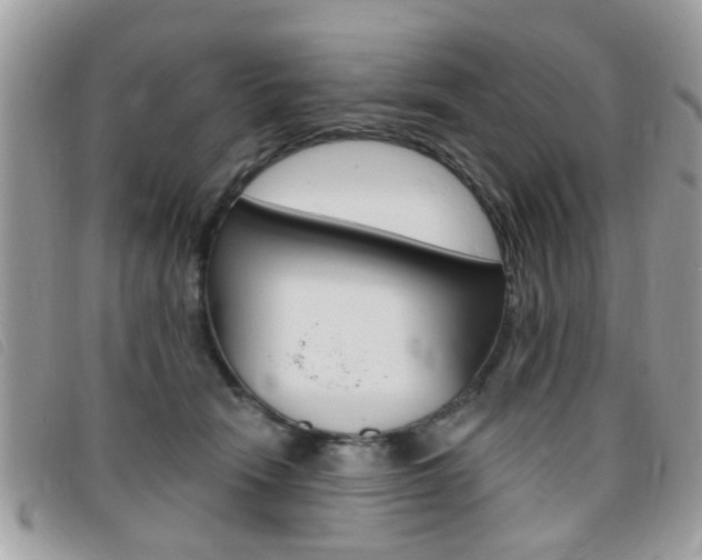 X0000095900466200801110809