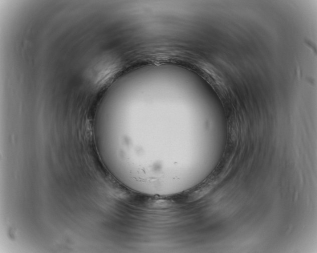 X0000095900467200801110809